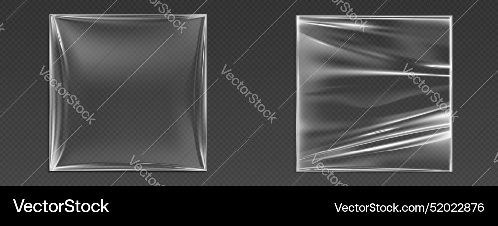 Vinyl Record Sleeve Mockup Vector Image