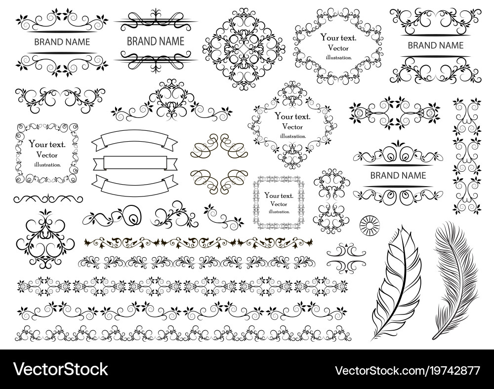 Floral & Swirl Decorative Elements vector image