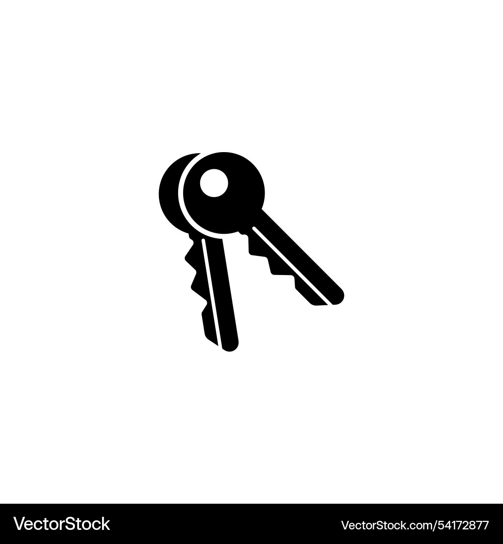 Set of two simple black keys on a keyring Set of two simple black keys on a keyring vector image