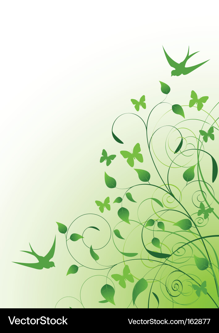 Spring Botanical Background Vector Image
