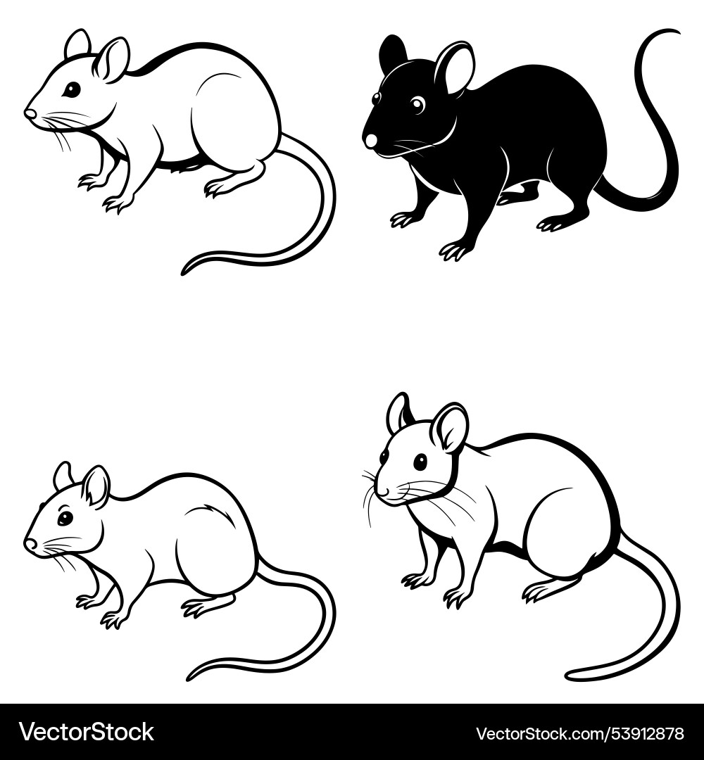 3d rendering of dynamic rat mouse silhouette line 3d rendering of dynamic rat mouse silhouette line vector image