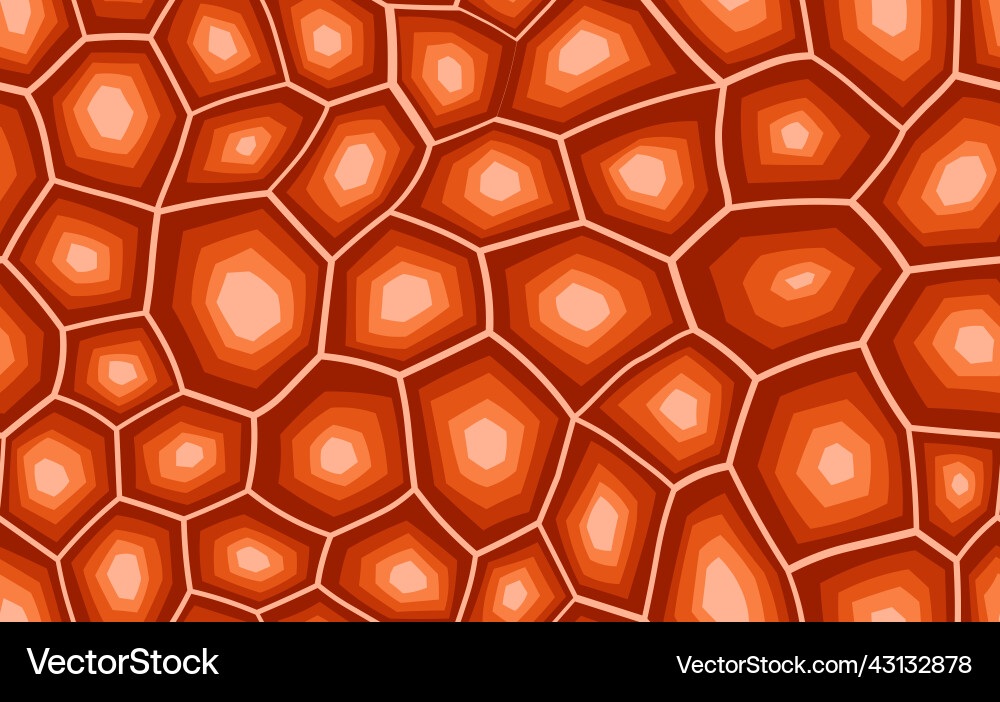 Abstract modern turtle shell seamless pattern Abstract modern turtle shell seamless pattern vector image