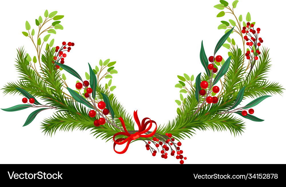 Evergreen branches coniferous tree and red Evergreen branches coniferous tree and red Vector Image