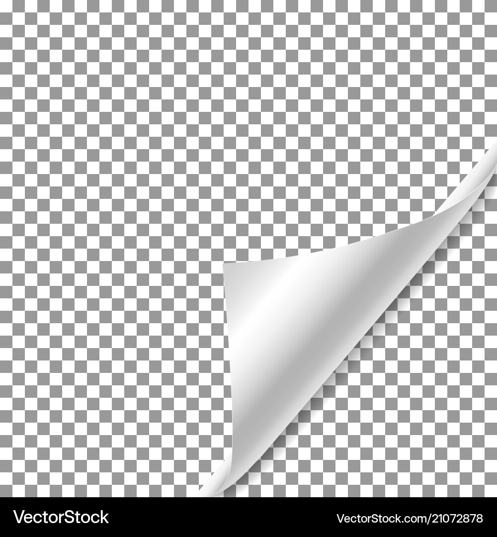 White gradient paper curl with shadow isolated White gradient paper curl with shadow isolated vector image