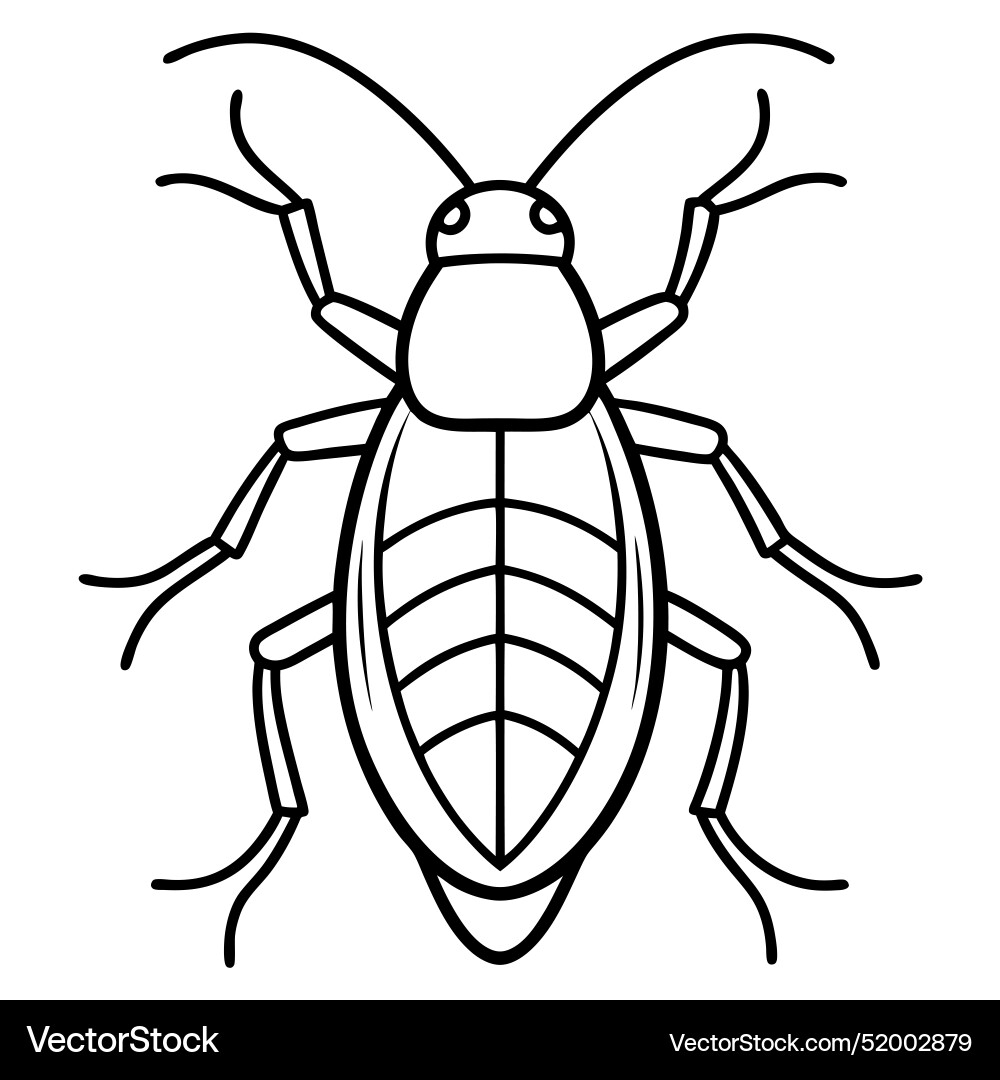 Cockroach bug stands icon vector image