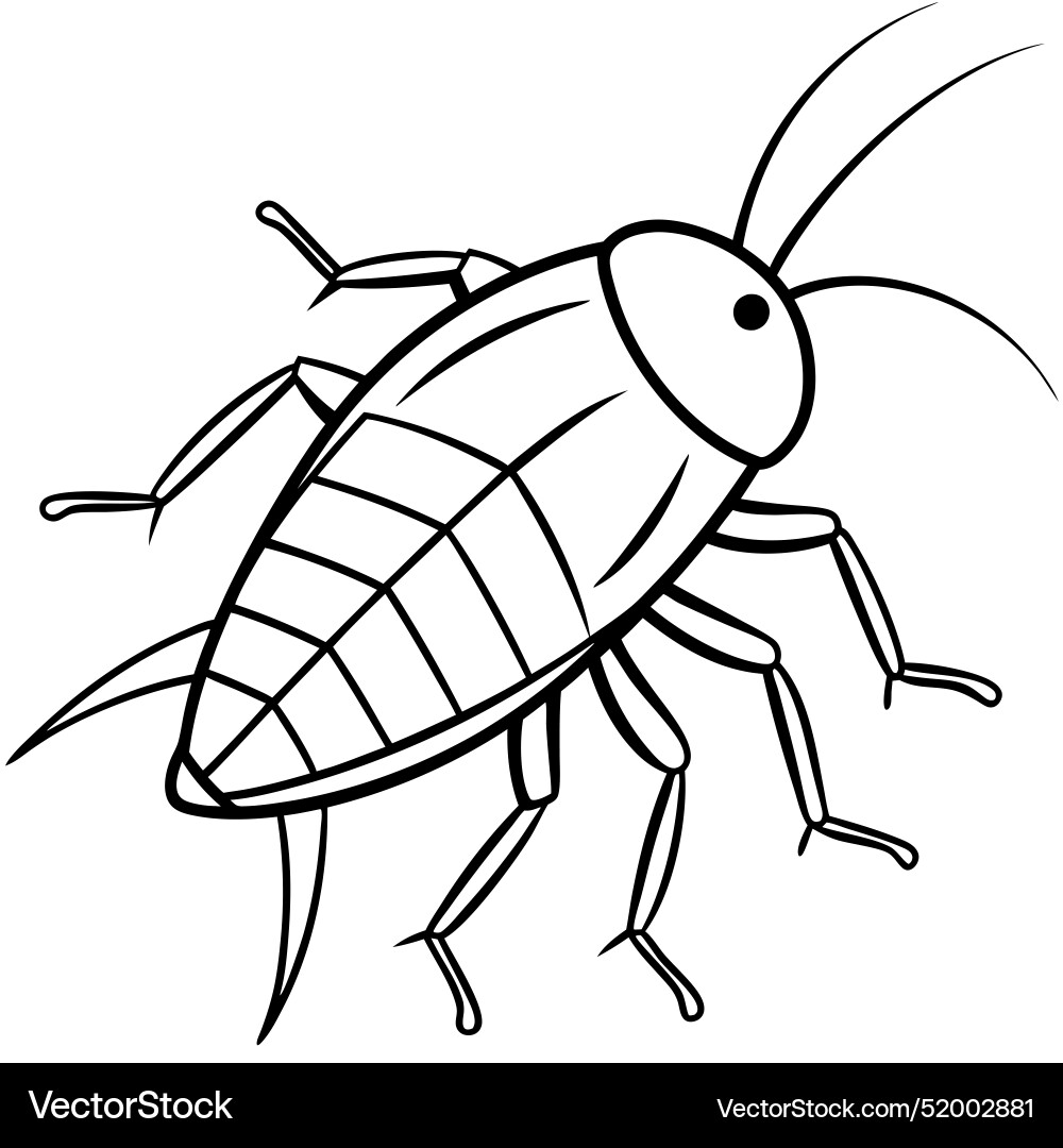 Cockroach bug walks icon vector image