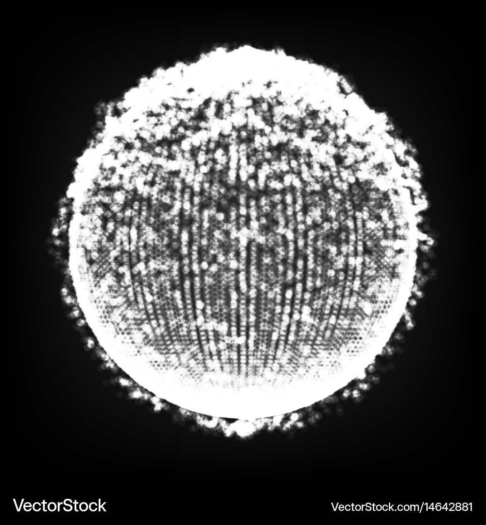 Dots array and lines big Vector Image