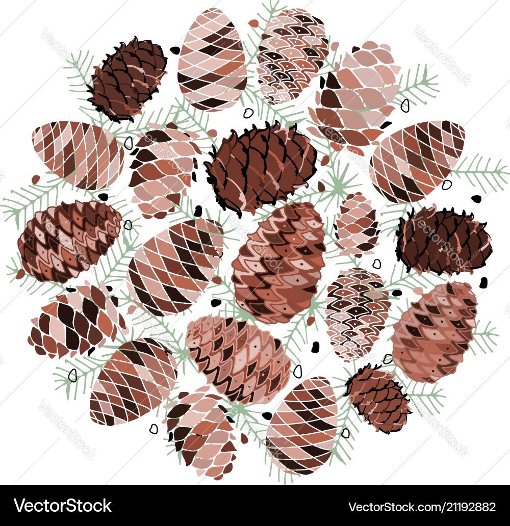 Cedar cone background sketch for your design Cedar cone background sketch for your design vector image