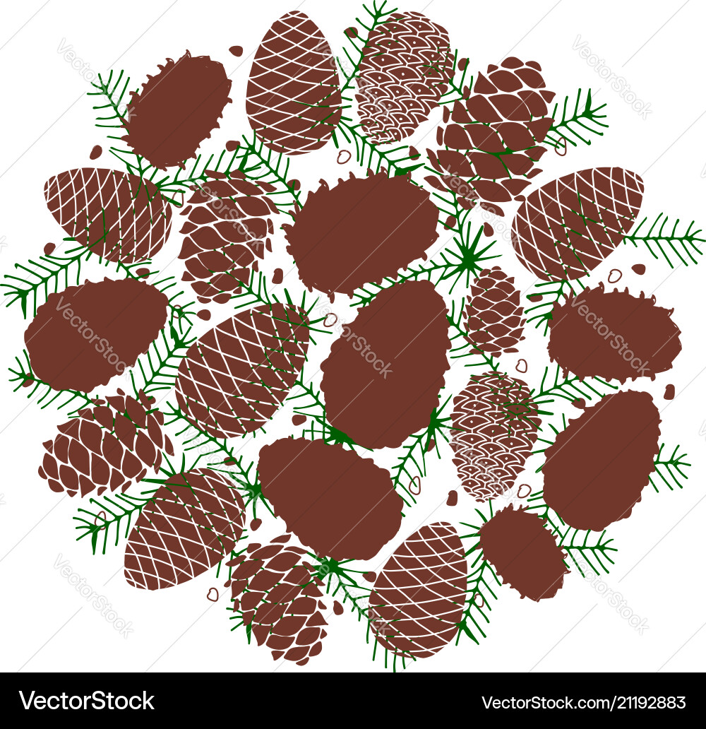 Cedar cone background sketch for your design Cedar cone background sketch for your design vector image