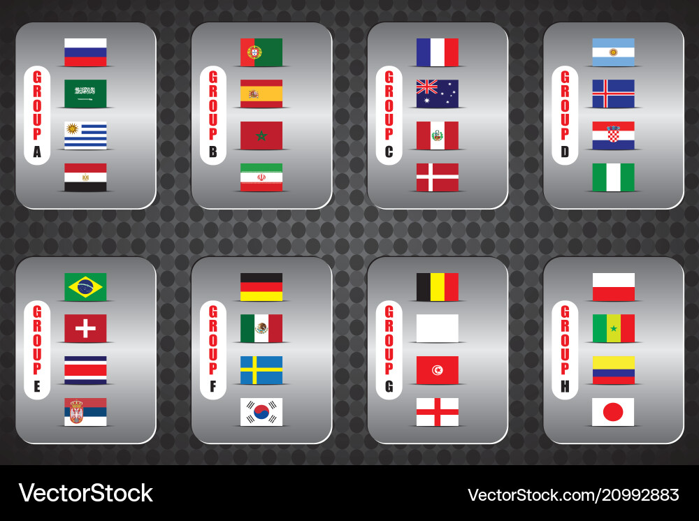 Information graph of the flags country Information graph of the flags country vector image