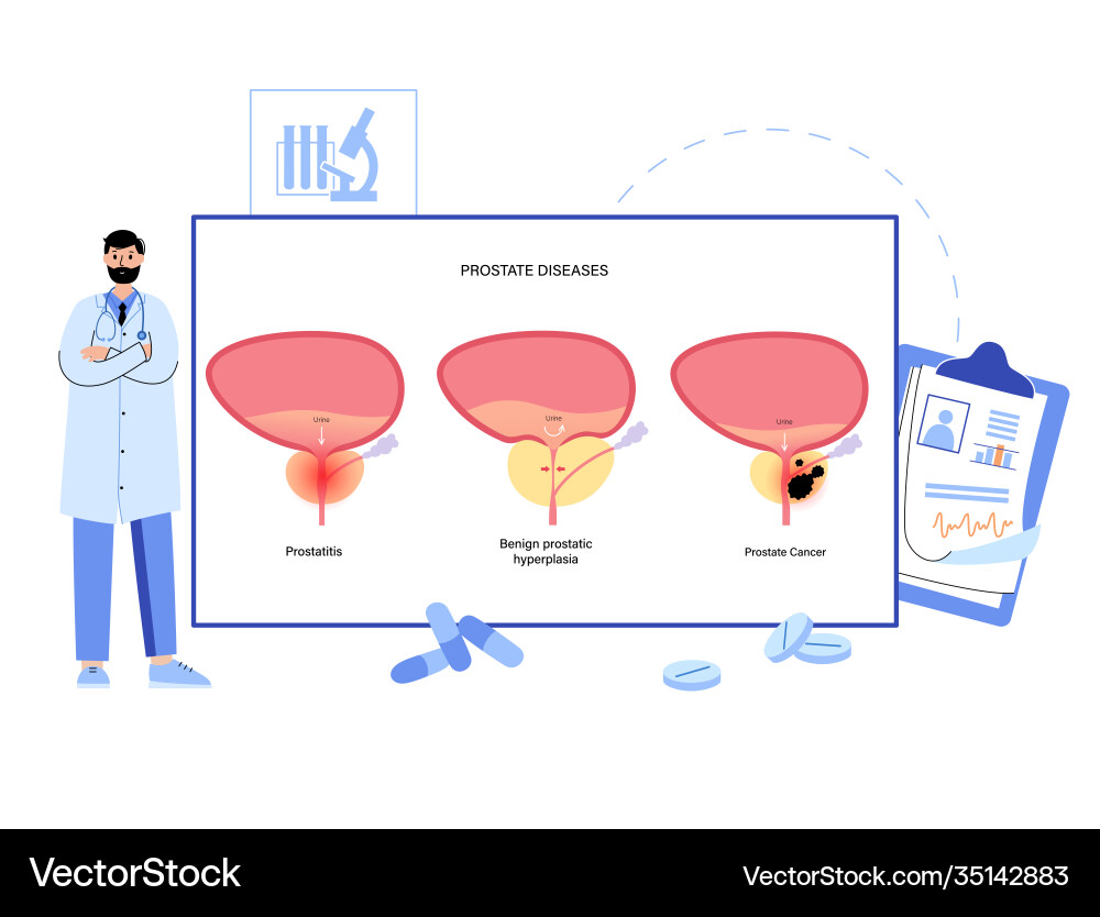Man reproducive system problems Man reproducive system problems vector image