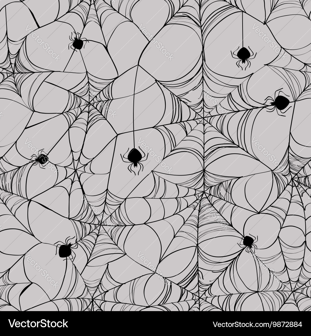 Intricate Spider Web Pattern vector image