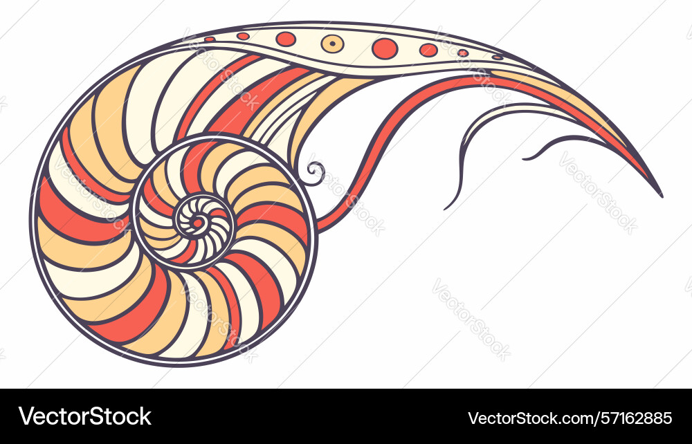 Dynamic nautilus shell with artistic swirls vector image