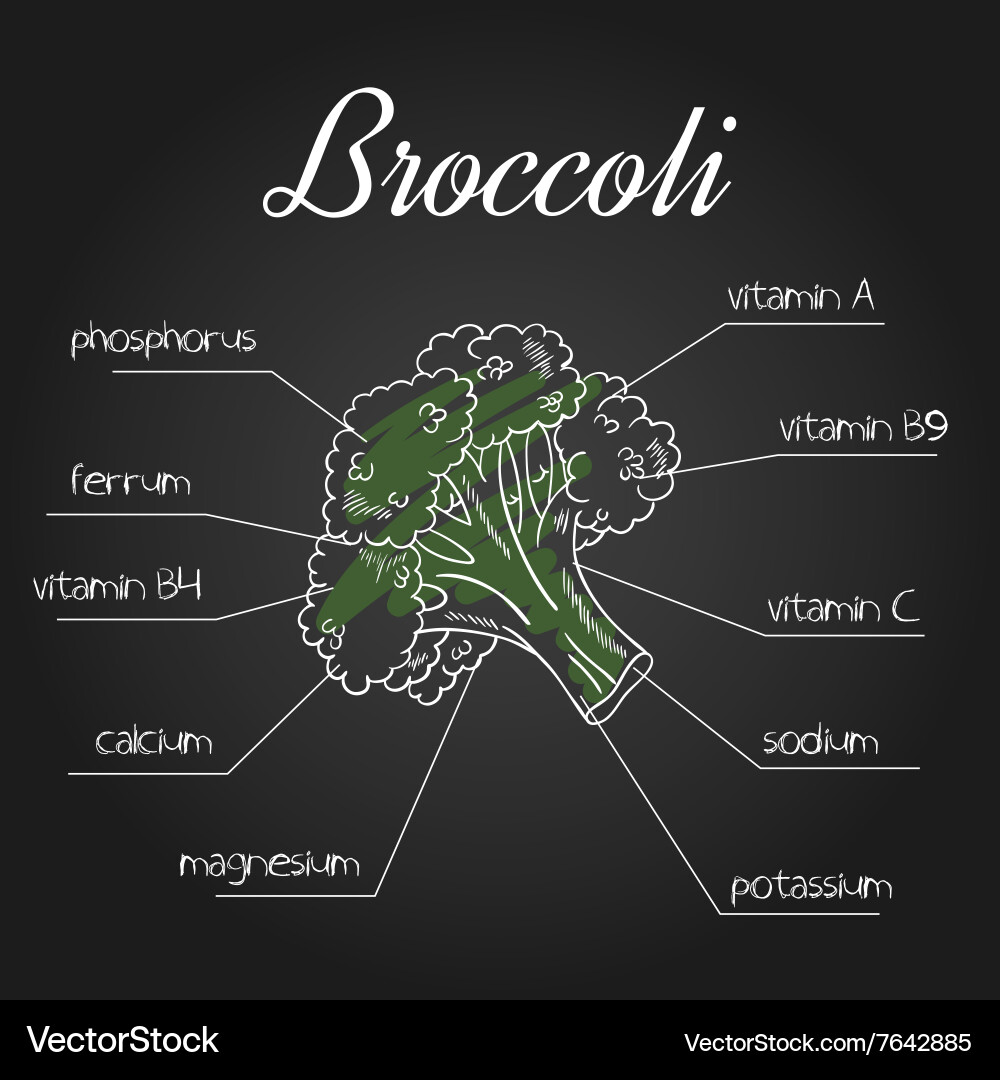 Nutrient list for broccoli vector image