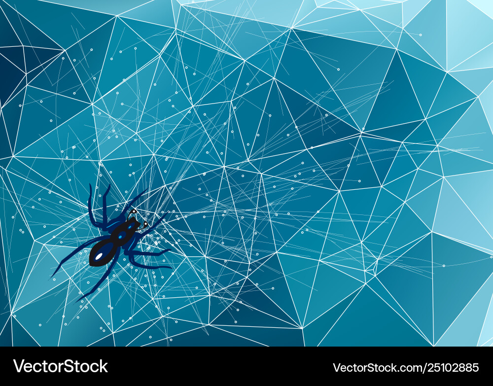 Spider on abstract web vector image