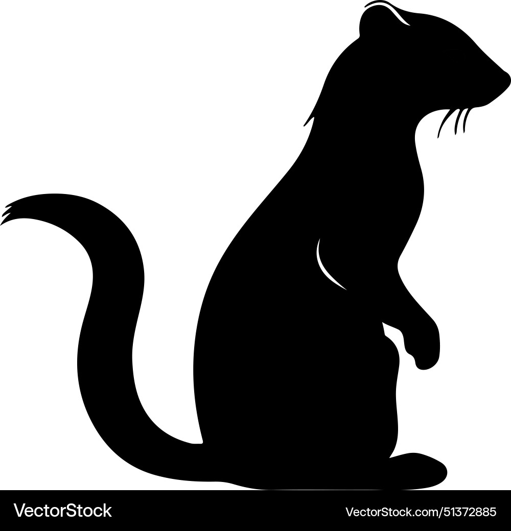 Weasel silhouette white background Weasel silhouette white background vector image