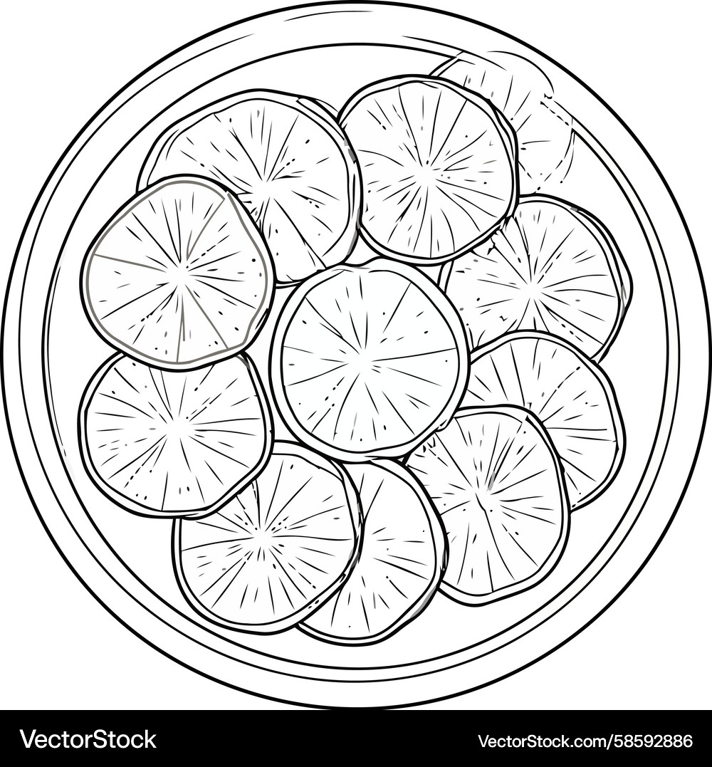 Citrus Slice Line Art Bowl Vector Image