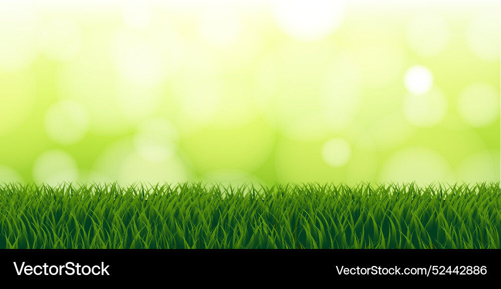 Grass border with background bokeh Grass border with background bokeh vector image