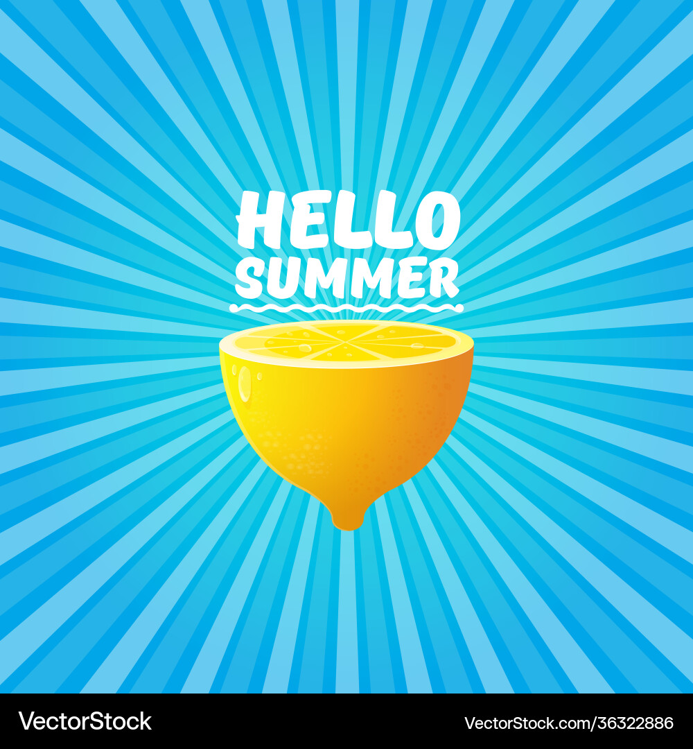 Hallo Sommer Strand Party Flyer Design Hallo Sommer Strand Party Flyer Design vektorbild