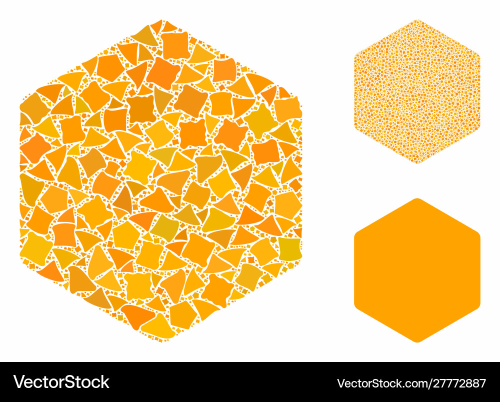 Filled hexagon composition icon bumpy items vector image