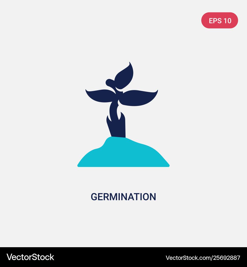 Two color germination icon from gardening concept Vector Image