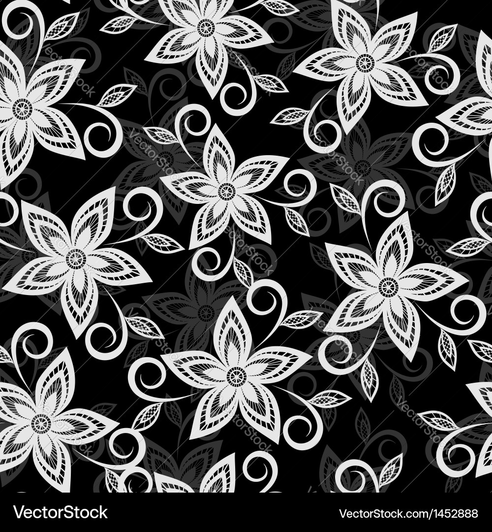 Elegant Black and White Floral Lace Vector Image
