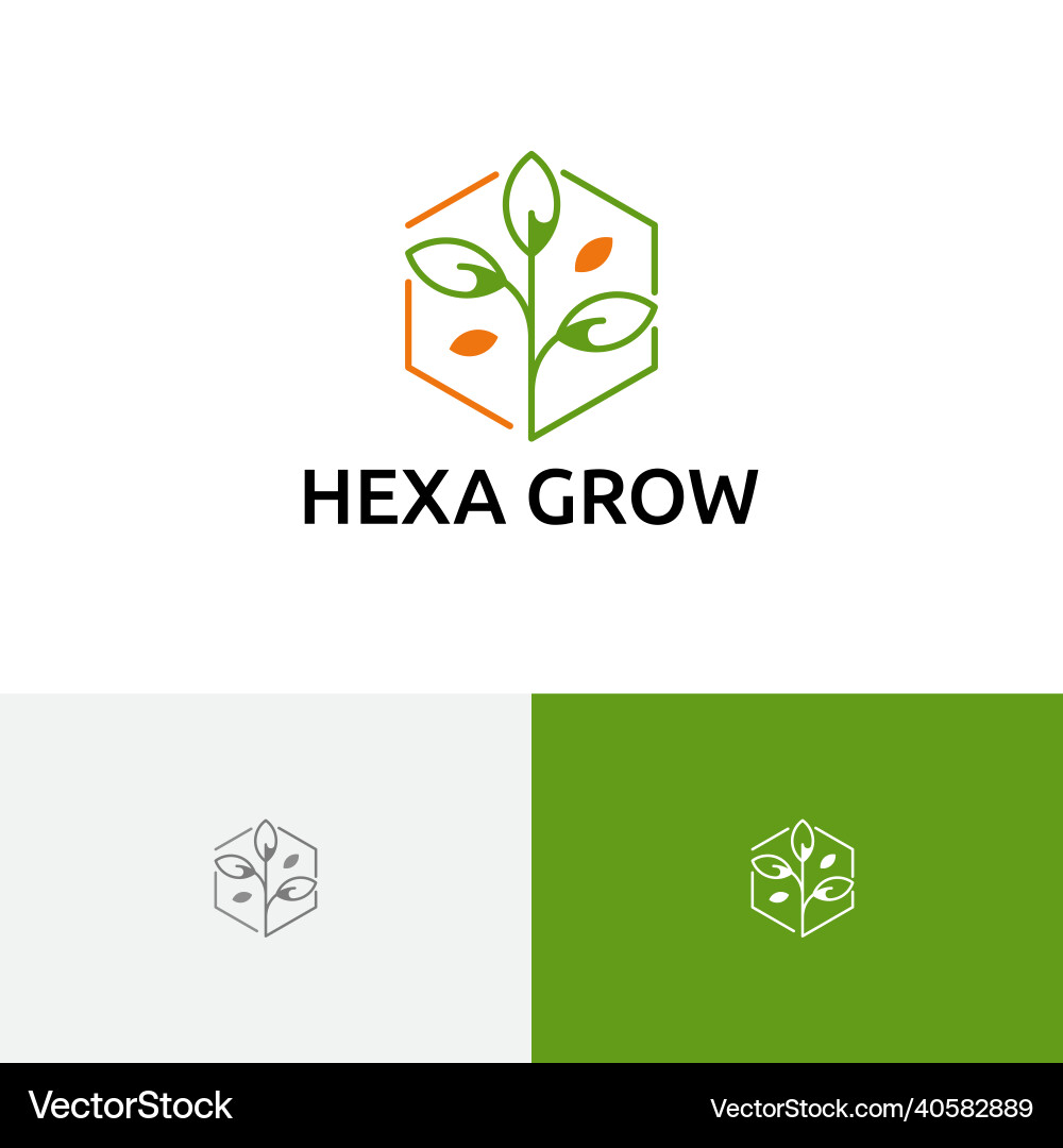 Hexagon wachsen Pflanzensamen Natur Landwirtschaft Logo Hexagon wachsen Pflanzensamen Natur Landwirtschaft Logo vektorbild