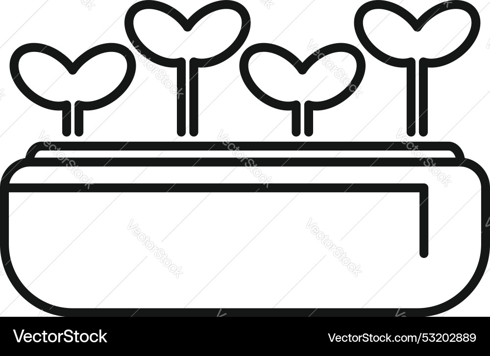 Seedlings growing from soil in rectangular pot Seedlings growing from soil in rectangular pot Vector Image