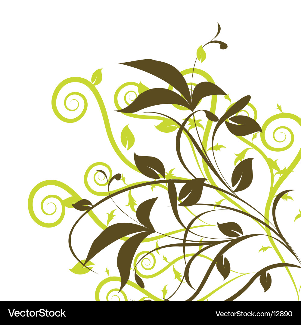 Botanical Leaf Background Royalty Free Vector Image