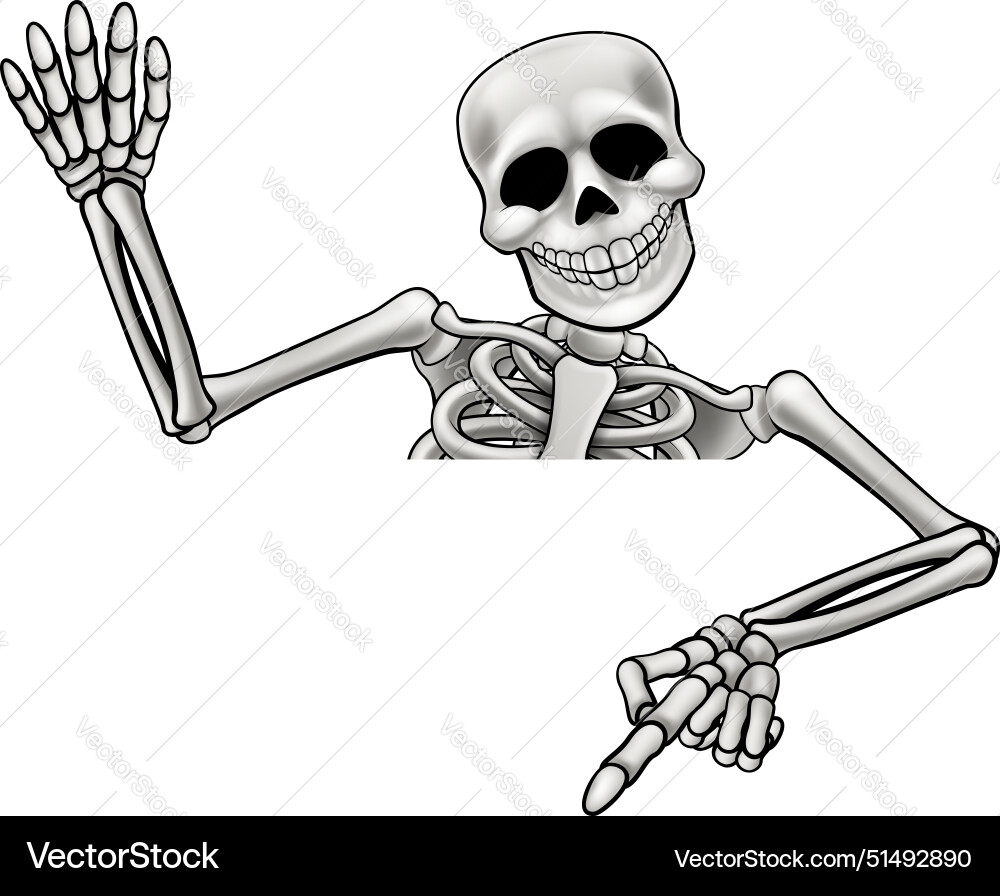 Skeleton pointing and waving Skeleton pointing and waving vector image