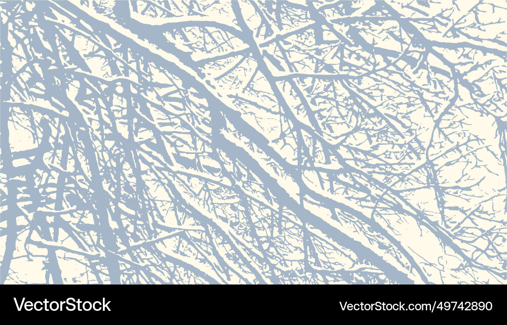 Tree branches with snow in winter texture Tree branches with snow in winter texture vector image