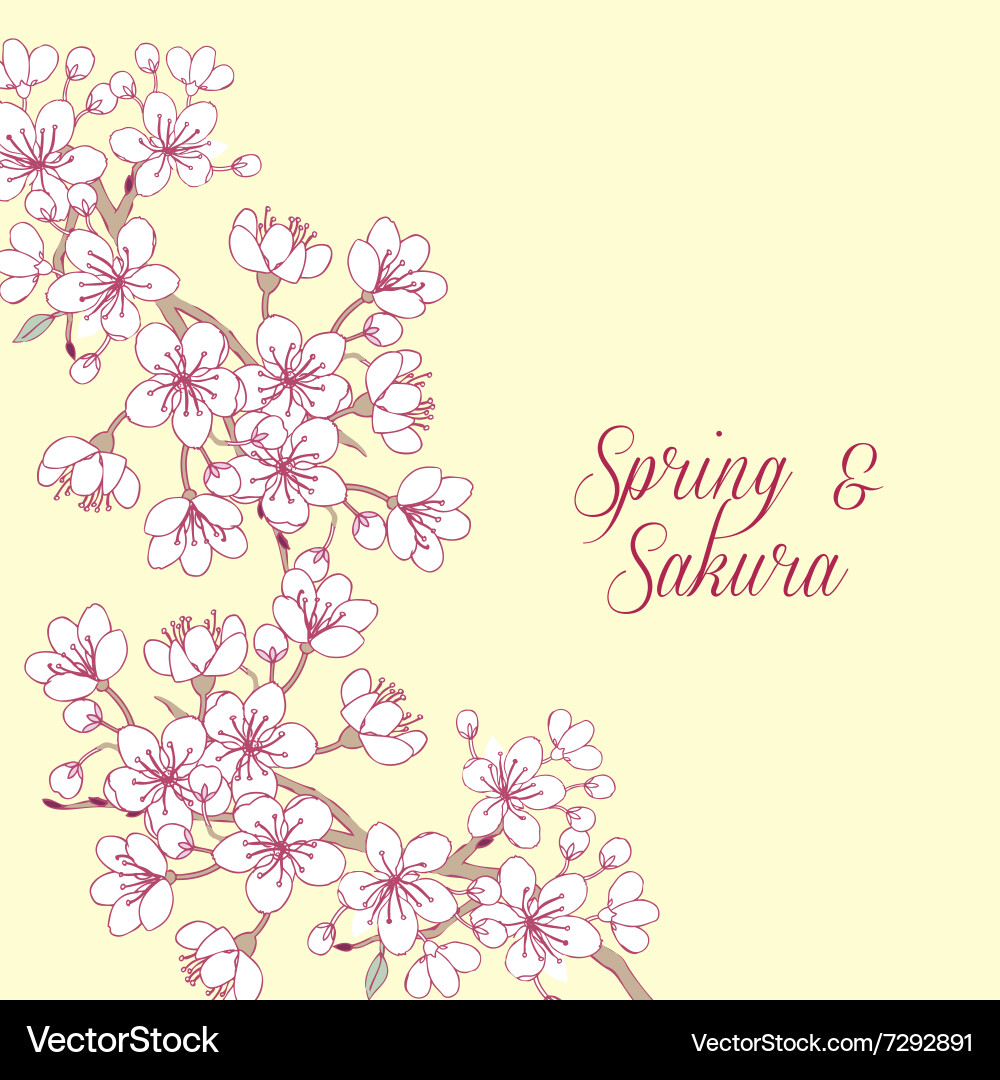 Background with sakura Vector Image