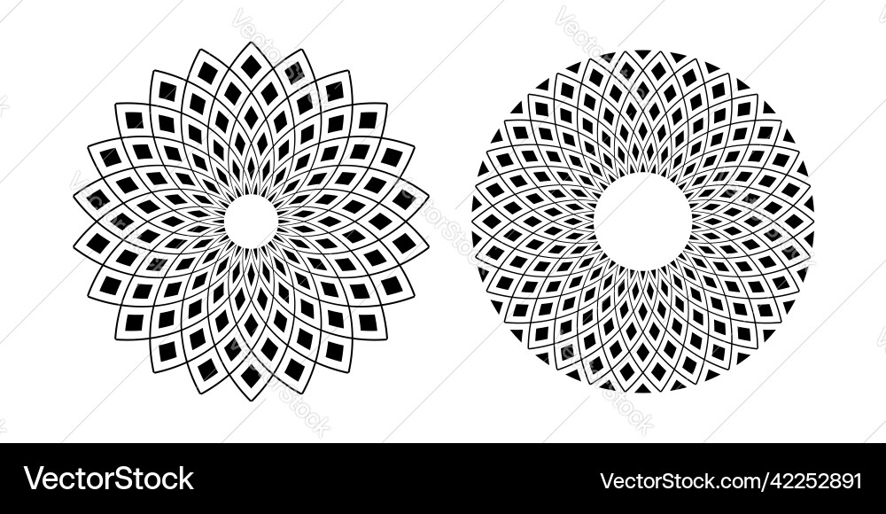 Circle patterns Circle patterns vector image
