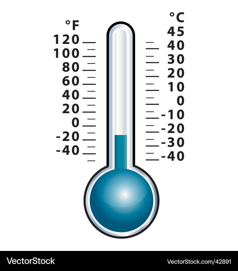 Cold Thermometer Display vector image