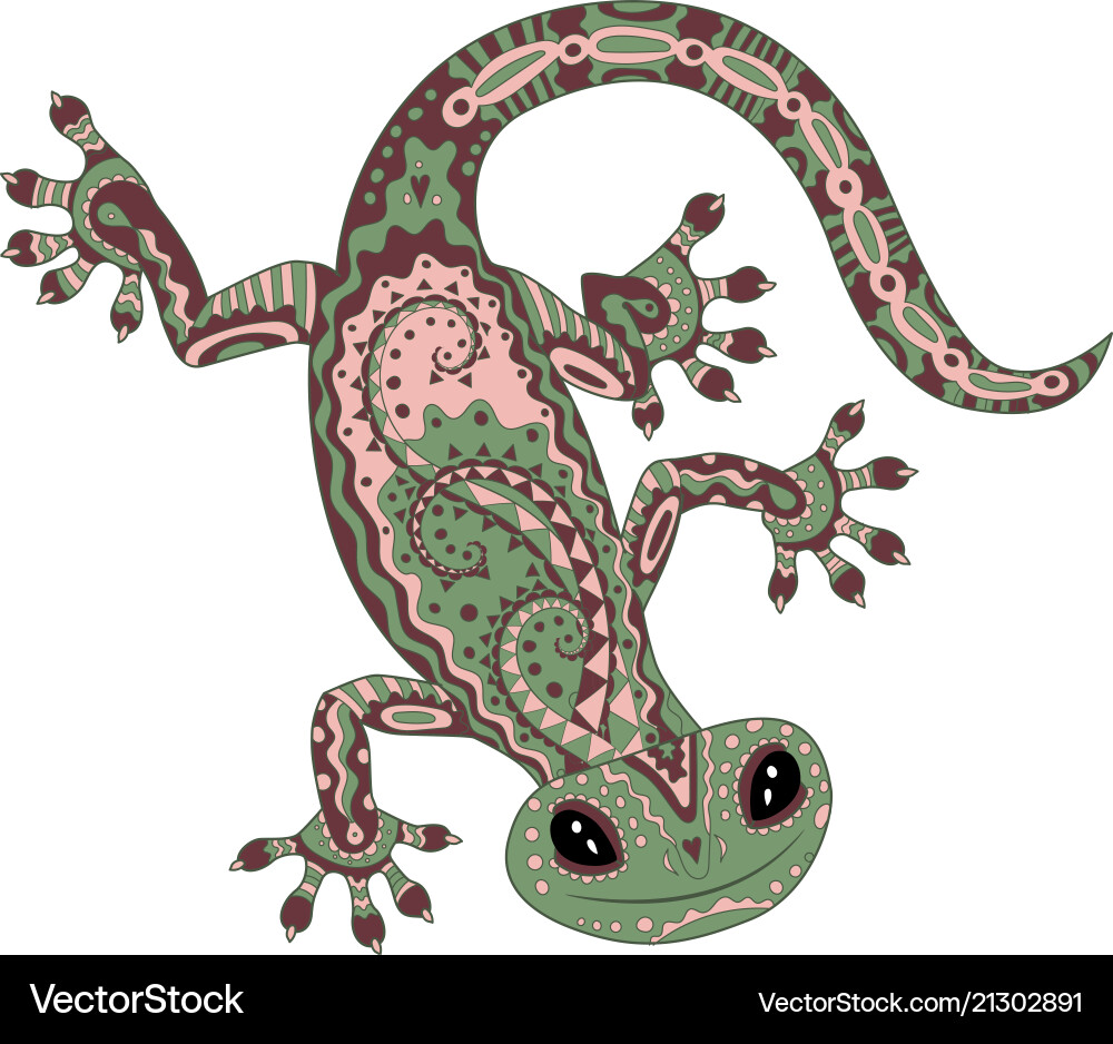 Colored gecko in patterned style Colored gecko in patterned style vector image