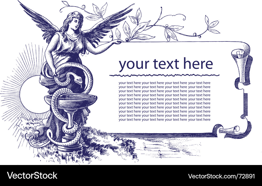 Elegant Scrollwork Frame vector image