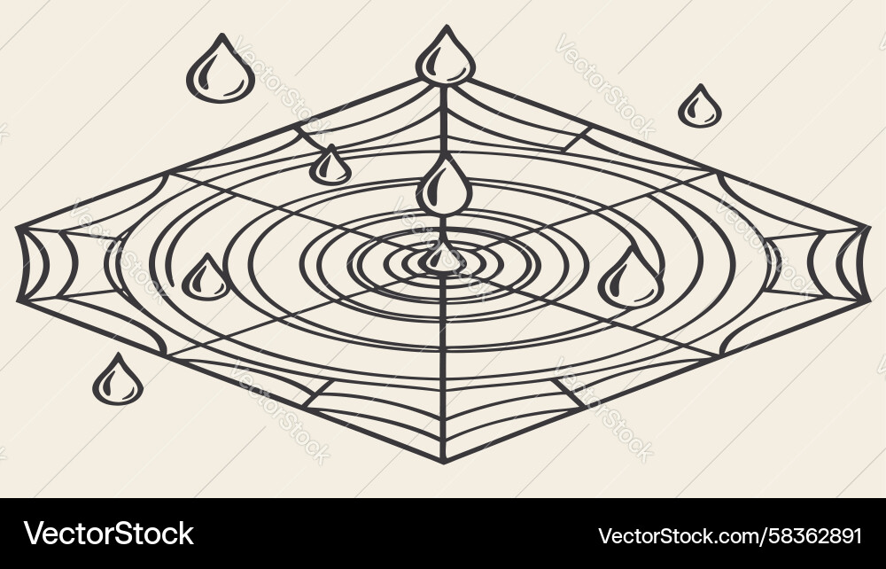 Intricate Spiderweb with Dew Vector Image