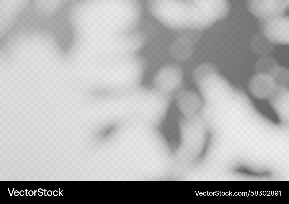 Tree Branch Shadow Overlay Vector Image