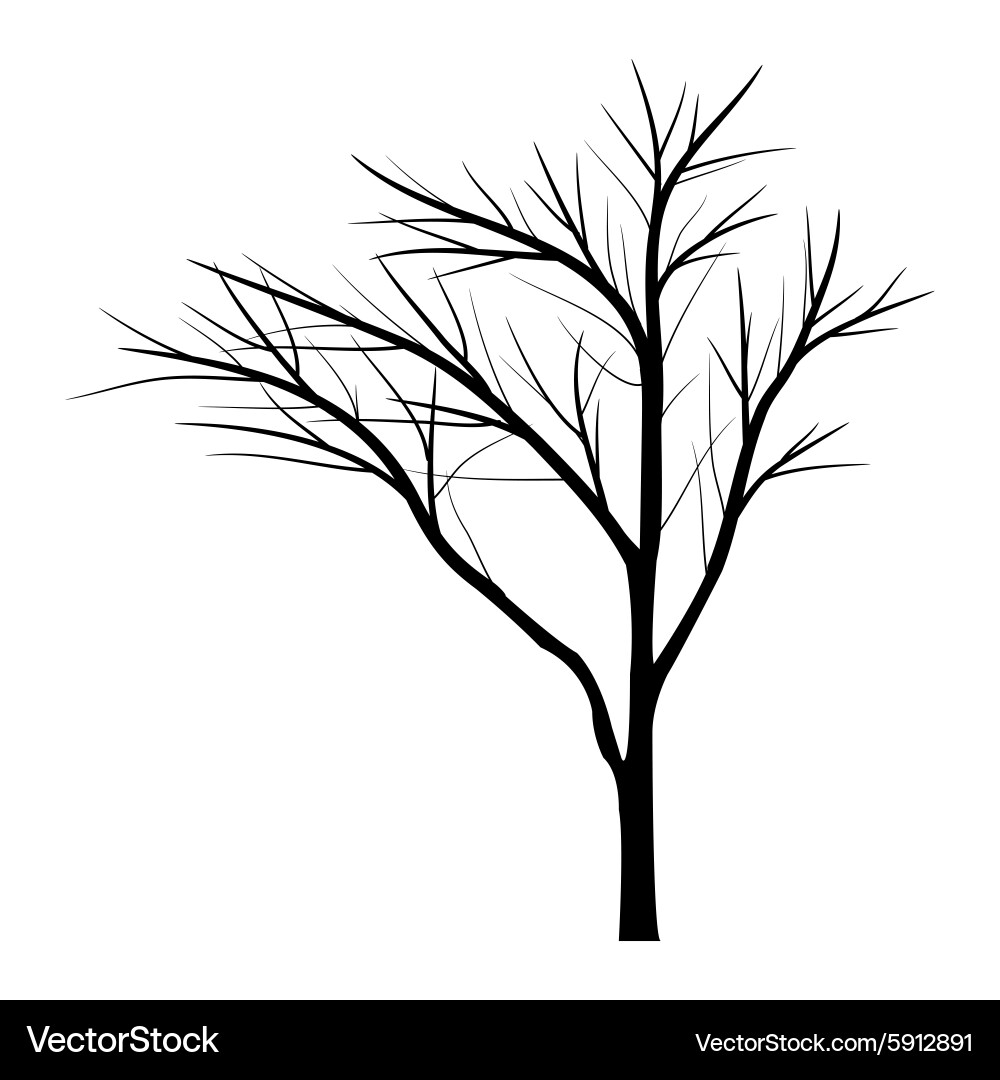 Trees with dead branch Vector Image
