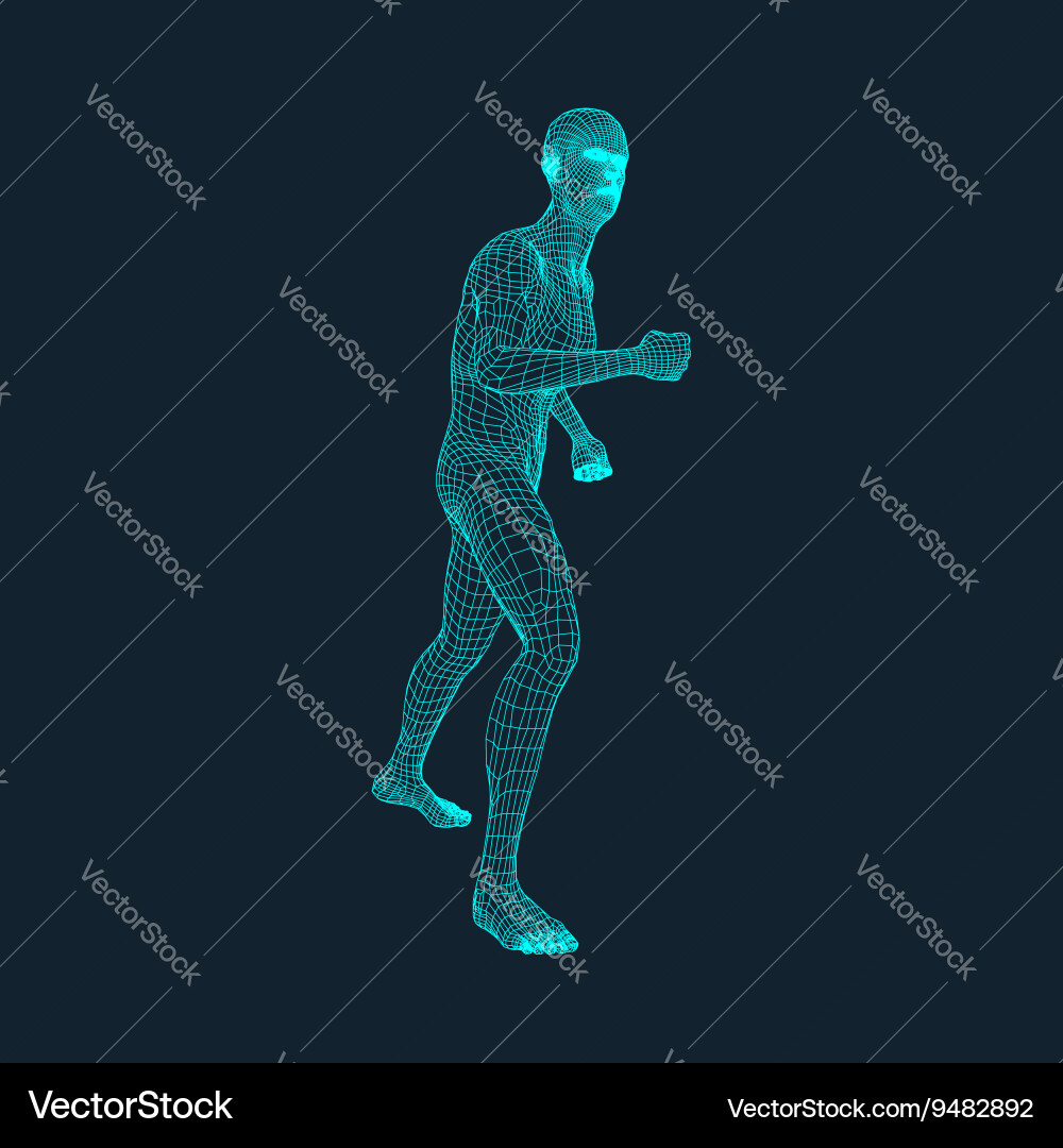 3d model of man polygonal design grid Vector Image