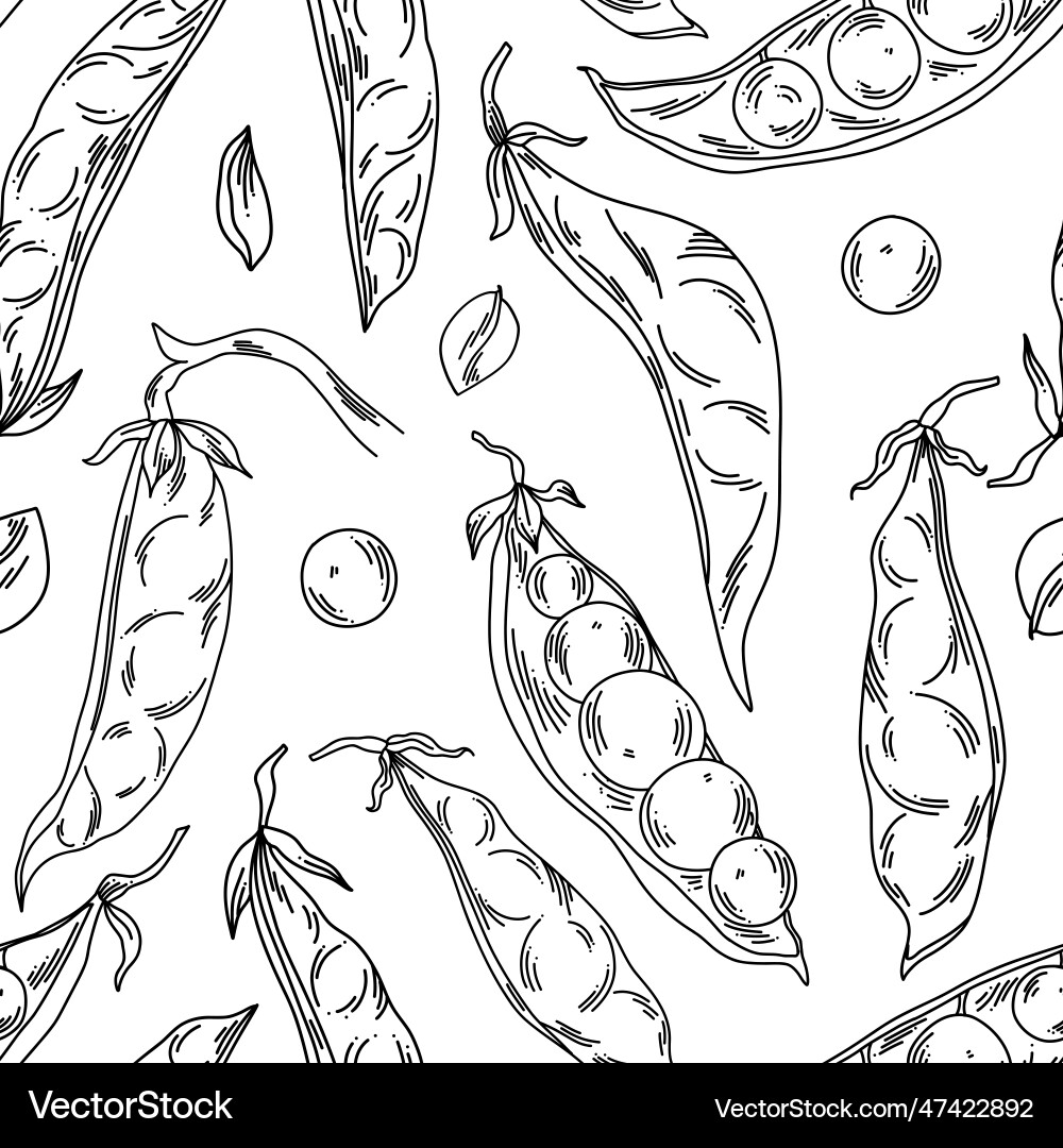 Bean seamless pattern in line art style with whole Bean seamless pattern in line art style with whole Vector Image