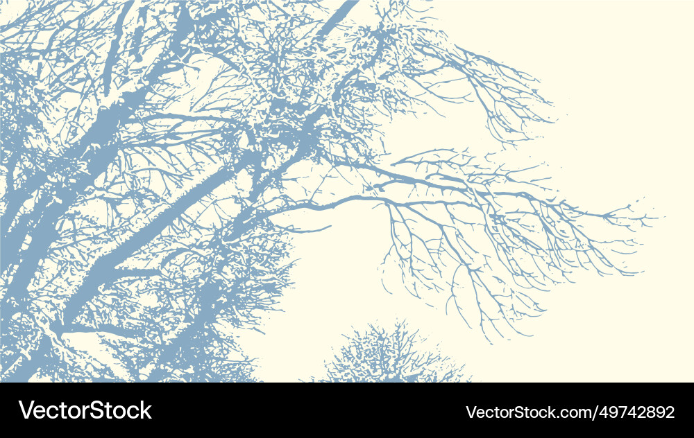 Tree branches with snow in winter texture Vector Image
