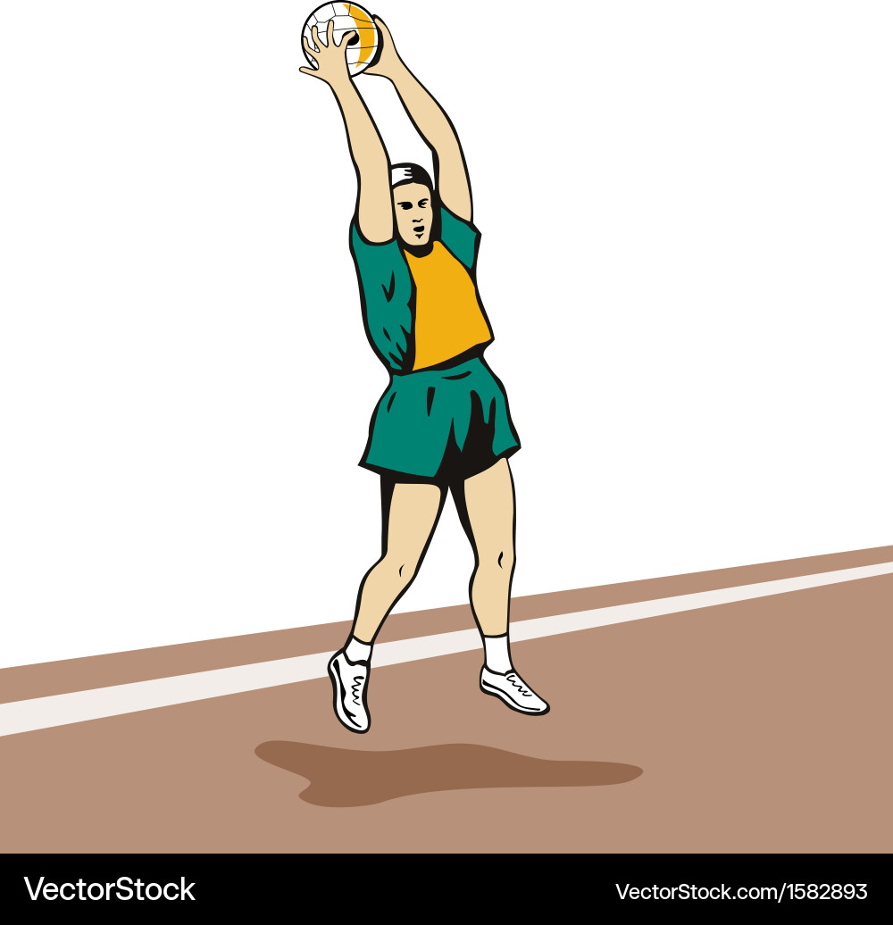 Netball player rebounding vector image