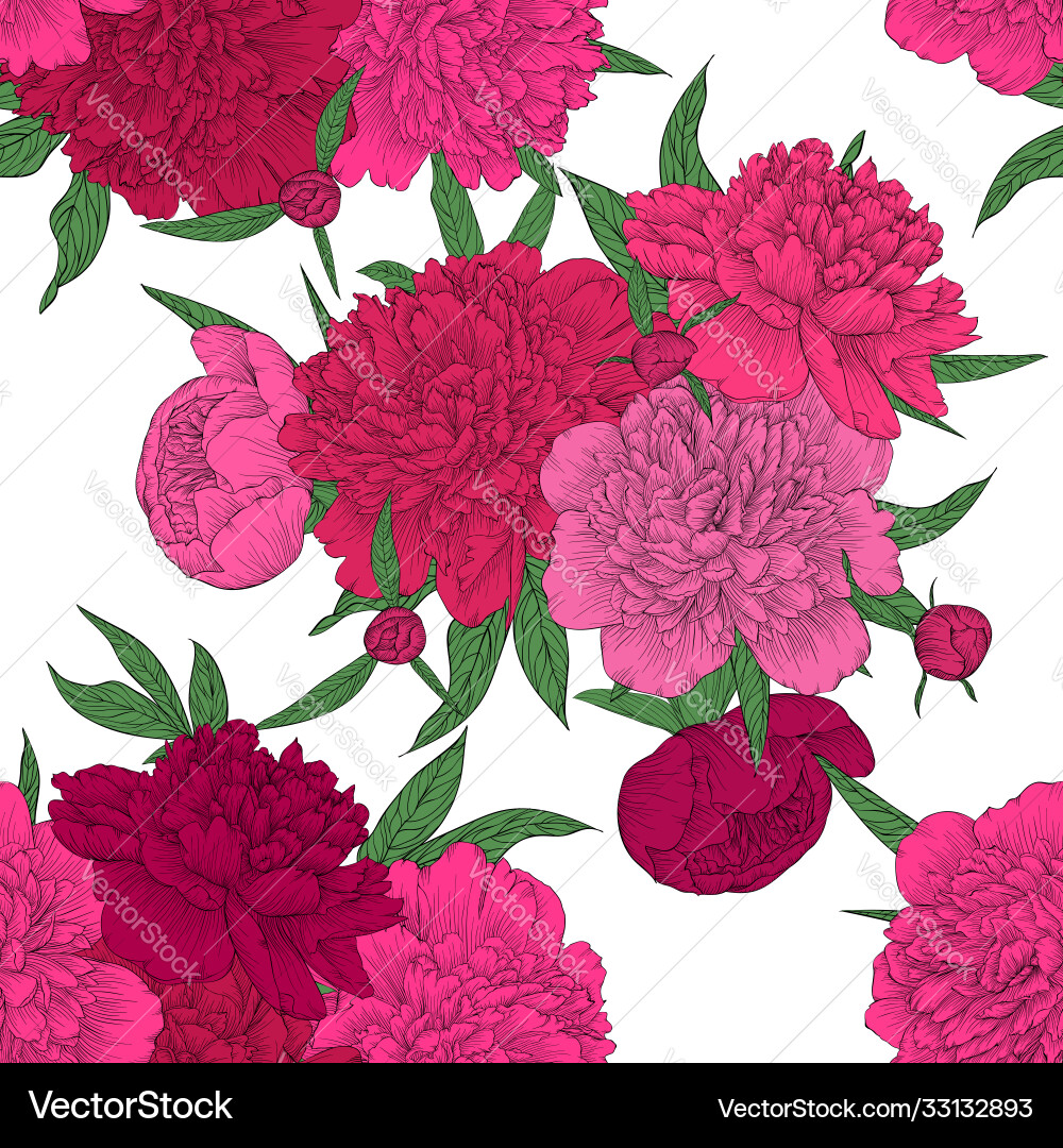 Pink Peony Seamless Background Vector Image