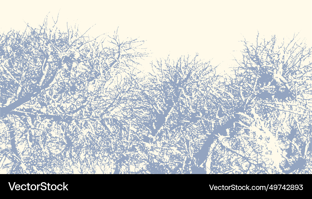 Tree branches with snow in winter texture Tree branches with snow in winter texture vector image