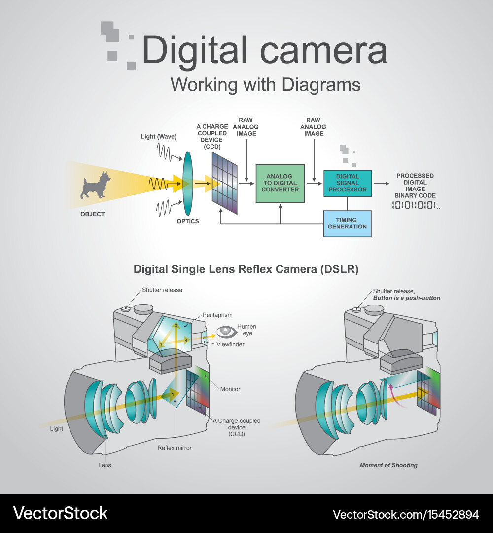 Digital Camera Anatomy & Operation vector image