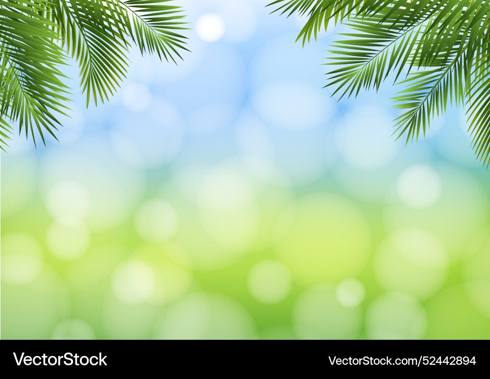 Palm tree with background bokeh vector image