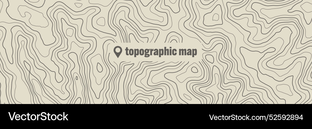Topographic Map with Contour Lines vector image