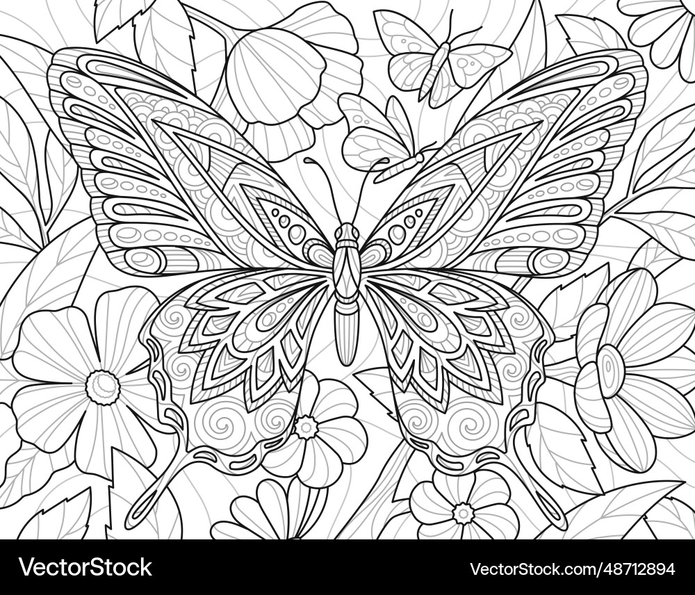 Tropical Butterfly Coloring Page Vector Image