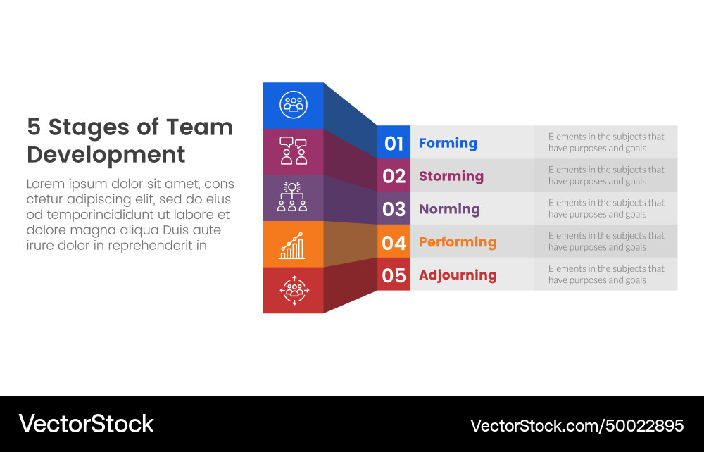 5 stages team development model framework 5 stages team development model framework vector image